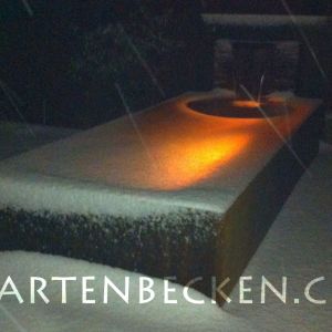 Winter 003